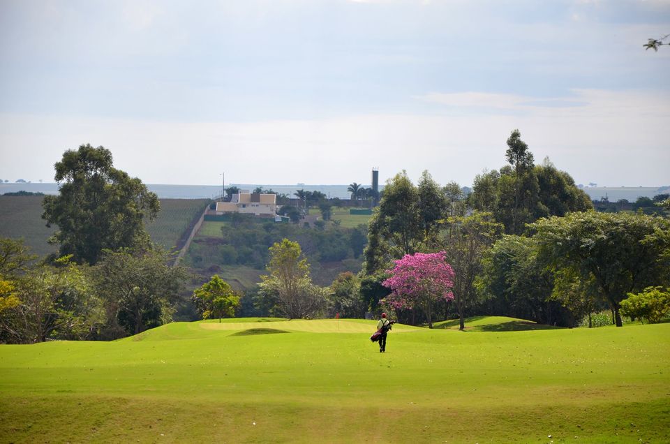 Campo
