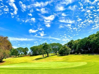 GREEN FEE: